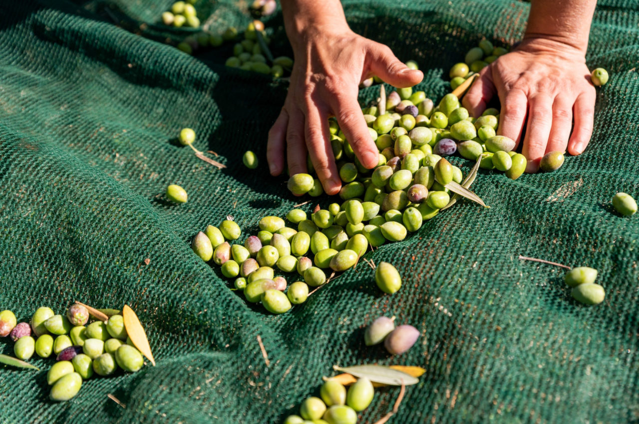 On the island of Crete, products made by local people